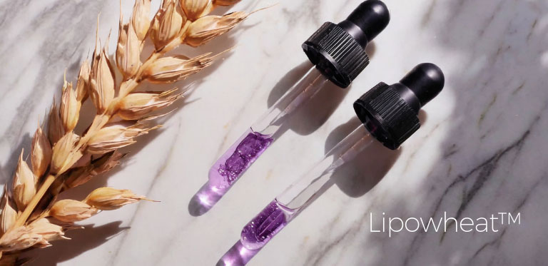 Complexe Lipowheat™