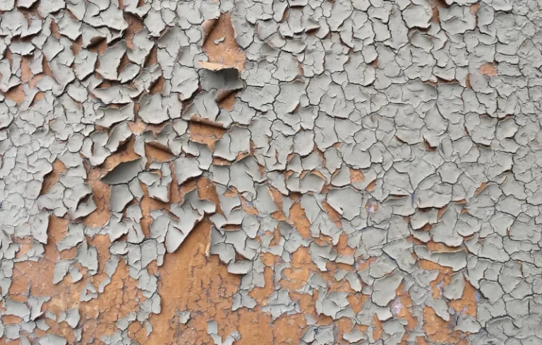 27 Mai Secheresse cutanee alternate 1512x | Absology Compléments alimentaires