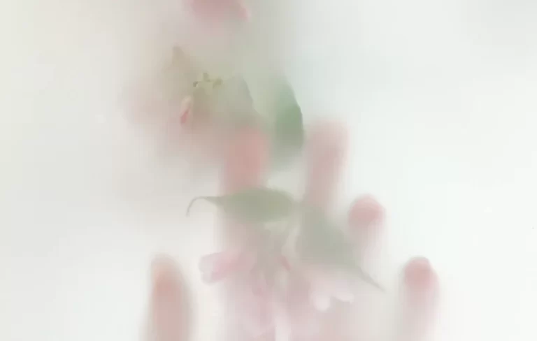 ABSOLOGY Peau nette et Eclatante 1512x | Absology Compléments alimentaires